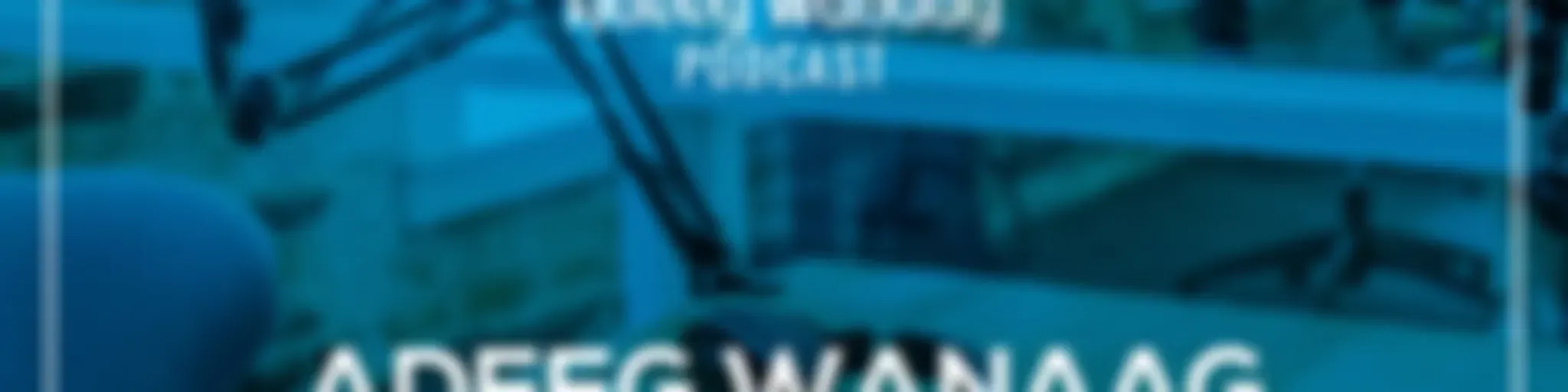 Adeeg Wanaag