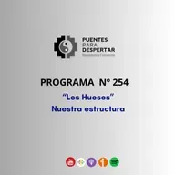 Programa Nro.254 de Puentes para Despertar, "Los Huesos, Nuestra Estructura I"