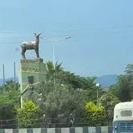 የሐሙስ ታኅሣሥ 9 ቀን፣ 2018 ዓ.ም የዓለም ዜና