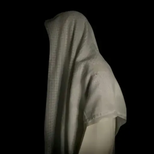 Calm Quran Recitation - Omar Bin Diaa Aldeen