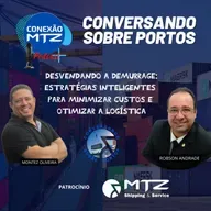 Desvendando a Demurrage: Estratégias para Minimizar Custos