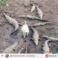 69eLiLMANdaRAPPER + #iNOeyeCAN (Prod. CEDES)