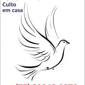 Transformando vidas