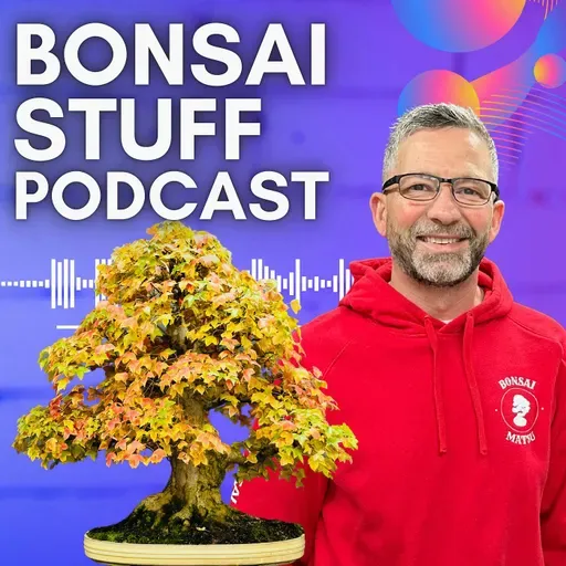 Season 8 Episode 16 - What to Do wth Your Bonsa Now, Don't Over Complicate Issues
