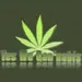 Yeswecannabismix
