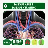 192 - Sangue azul e sangue vermelho