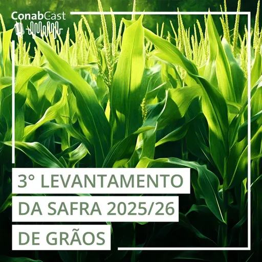Nova estimativa da Conab aponta para uma produção de 354,4 milhões de toneladas de grãos na safra 2025/26