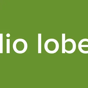 radio loberia