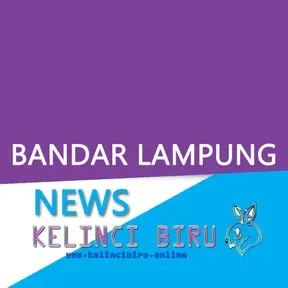Kelinci Biru News