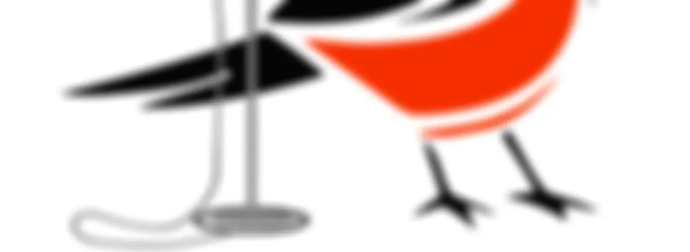 Bird's Eye View - Baltimore Orioles Unofficial Fan Podcast