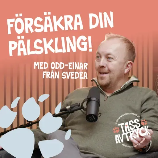 Annons från VAFO: Försäkra ditt husdjur - allt du behöver veta