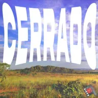 RM #90: Cerrado em chamas