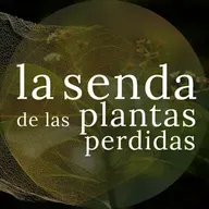 Perfumes radiantes para el Más allá: los alcanforeros {SPP 089}