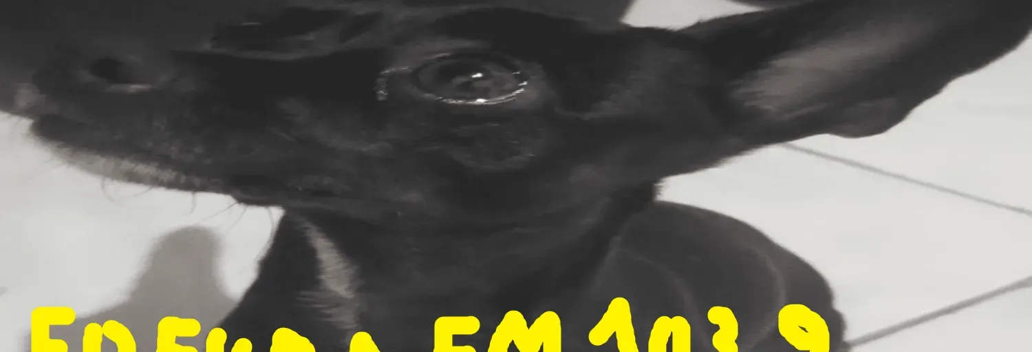 Radio fofura
