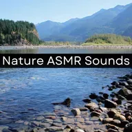 Forest Morning - 10 Hours for Sleep, Meditation, & Relaxation