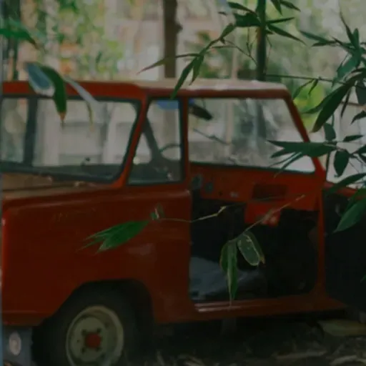 El Arte de No Ser Olvidado