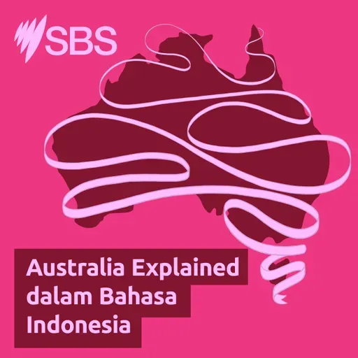 How does IVF work in Australia? - Australia Explained: Bagaimana cara kerja IVF di Australia