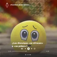 ¿Las disculpas «se ofrecen» o «se piden»?