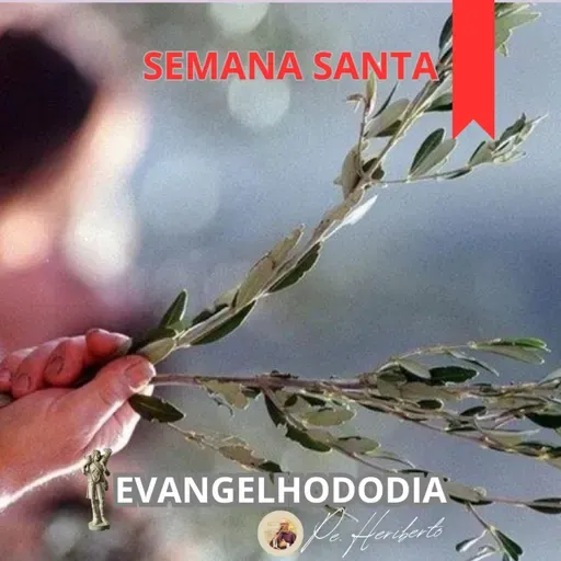 DOMINGO DE RAMOS DA PAIXÃO DO SENHOR | 29 MAR 26 | Mt 21,1-11