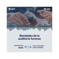 Bondades de la auditoría forense