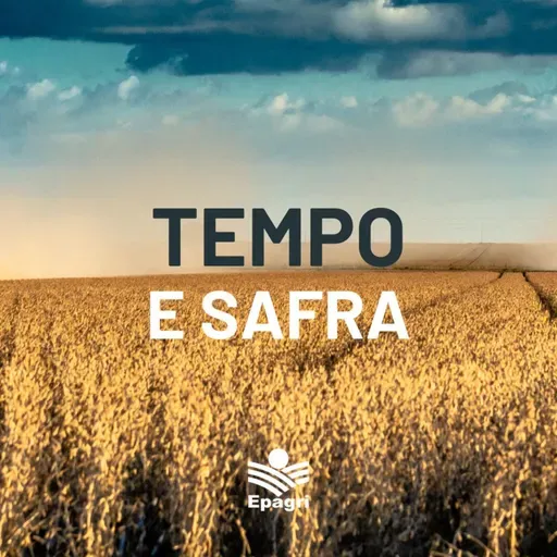 31 de outubro - Bate-papo Tempo e Safra