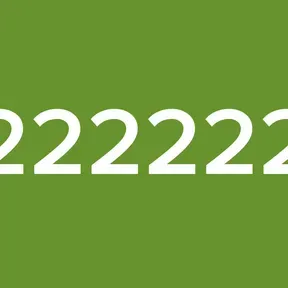 222222