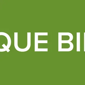 MAS QUE BINGOS