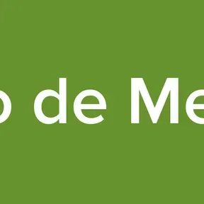 La Mega Radio de Mendoza 989FM