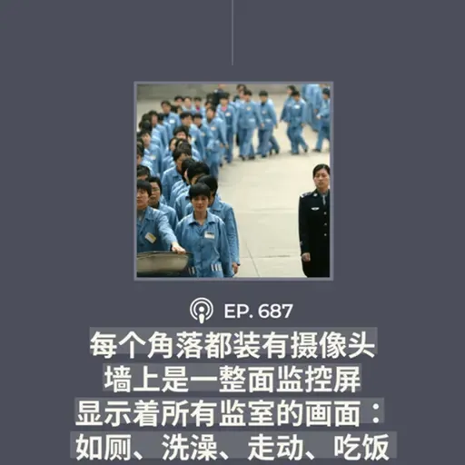 【第687期】CDT关注:“每个角落都装有摄像头,墙上是一整面监控屏,显示着所有监室的画面:如厕、洗澡、走动、吃饭”(外二篇)