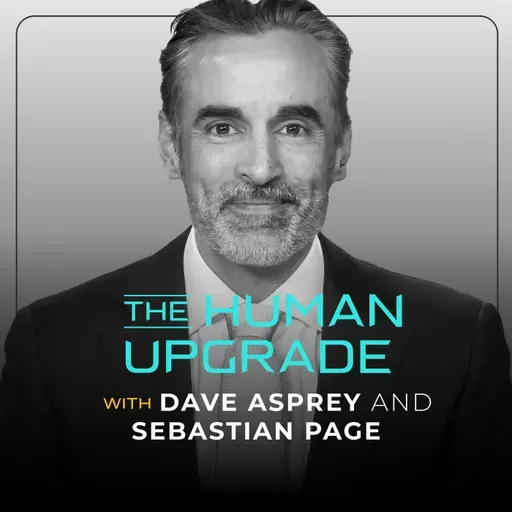 The $500 Billion Secret: Why Top Leaders Chase Stress | Sébastien Page  : 1272
