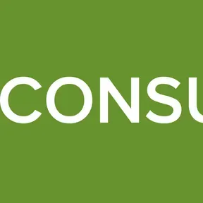 FUEGO CONSUMIDOR