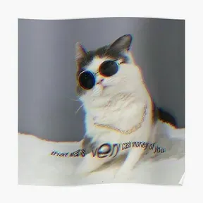 DjMrtnz