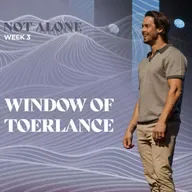 Window of Tolerance - Not Alone (Week 3)