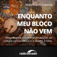 Enquanto meu bloco não vem