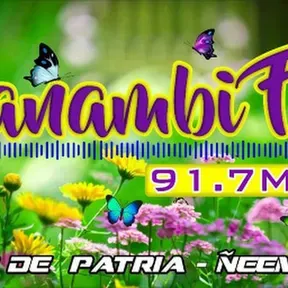 Panambi FM