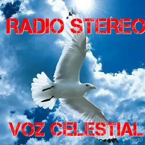 Radio stereo voz celestial