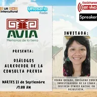 Diálogos alrededor de la consulta previa