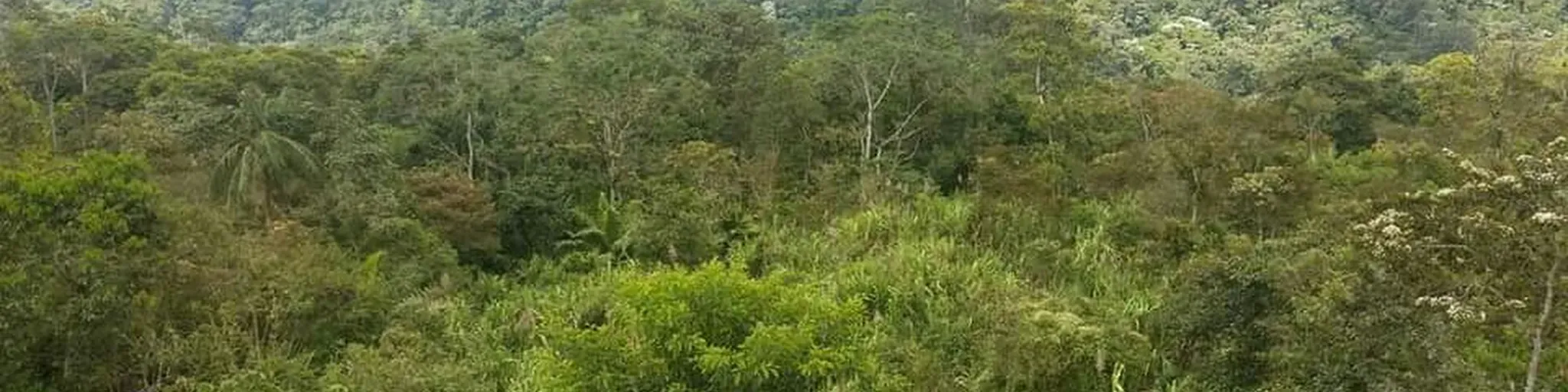 LA KOKETA FM