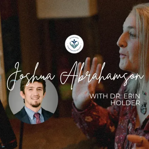 Why Every Veterinarian Needs a Financial Advisor with Joshua Abrahamson