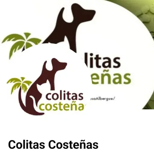 Responsabilidad Social 