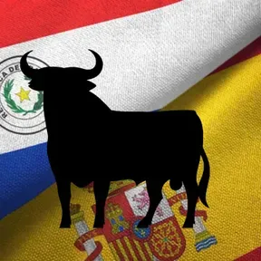 Radio El Toro