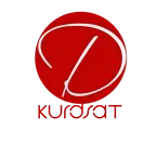 Dengi Kurdsat 96.3