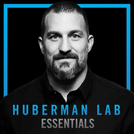 Essentials: Understanding & Controlling Aggression