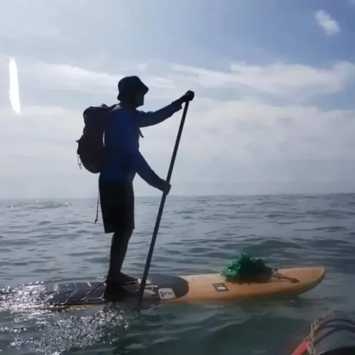Remar, Limpar, Ensinar