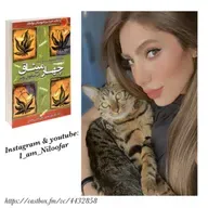 کتاب صوتی چهارمیثاق با صدای نیلوفر _ راه تولتکها به سوی آزادی (پایان)