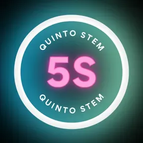 QUINTO STEM
