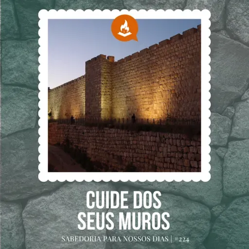 Cuide dos seus muros #224 | Sabedoria para nossos dias