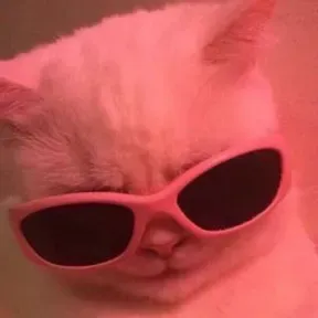 xddddddd