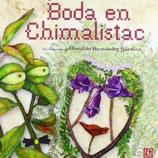 Boda en Chimalistac
