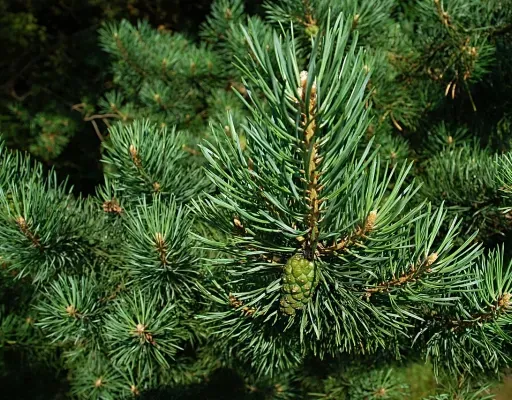 Бывших биологов не бывает